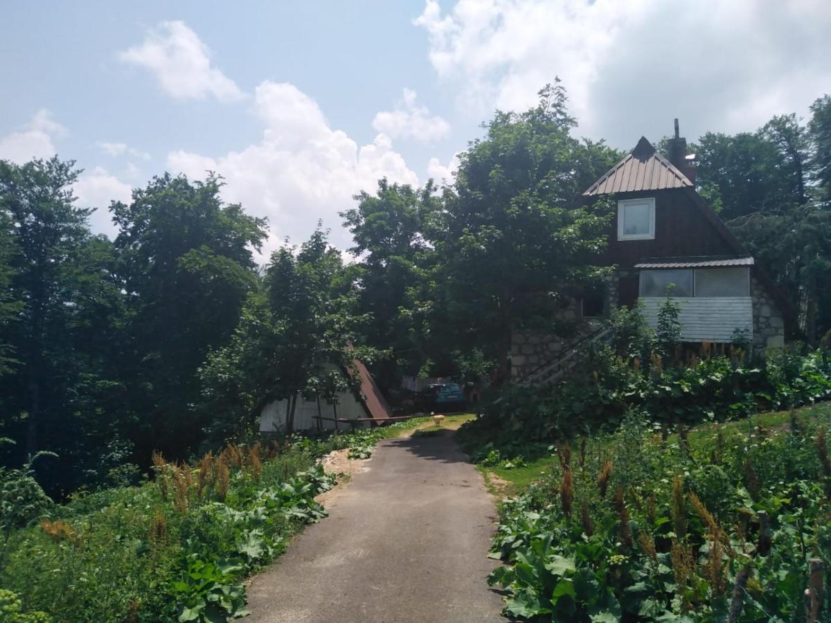 Dobre Vode 2 Appartement Žabljak Buitenkant foto